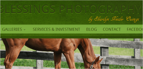 Three Blessings Photography
