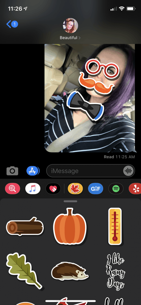 Screenshot of text message with Hello Autumn iMessage stickers in use